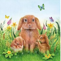  25x25 RABBIT FAMILY, Ambiente