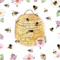 BEEHIVE, Ambiente