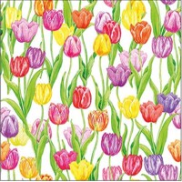 MAGIS TULIPS, Ambiente