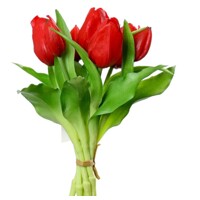 tulipány