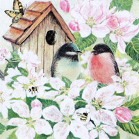 BIRDS AND BLOSSOM, HF