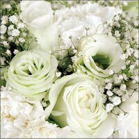 ROSES BOUQUET, Ambiente