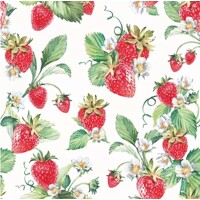  GARDEN STRAWBERRIES, Ambiente