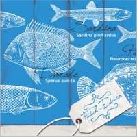 FISCH 40x40 Mank