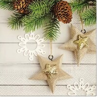 ECO STARS, Paw