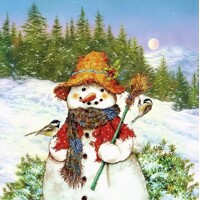 SNOWMAN & BIRDS, Ambiente