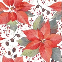  POINSSETIA AND BERRIES, Ambiente