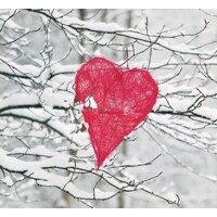 HEART IN TREE, Ambiente