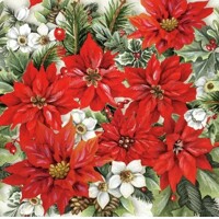 POINSETTIA ALL OVER, Ambiente
