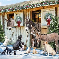 ANIMAL FRIENDS, Ambiente