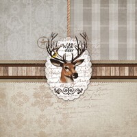 WILD DEER, Ambiente
