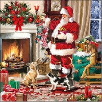 25x25 SANTA INTERIOR, Ambiente
