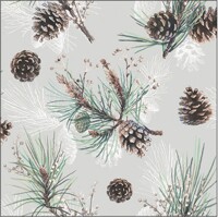 PINE CONE ALL OVER, Ambiente