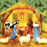  WEIHNACHTSKRIPPE - NATIVITY SCENE  40x40 Linclass, Mank