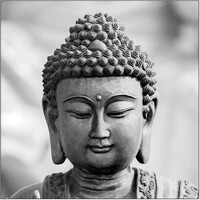 BUDDHA HEAD, Ambiente