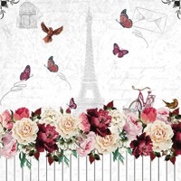  ROMANTIC PARIS, Ambiente