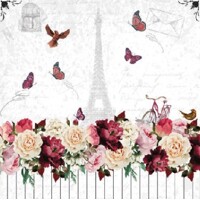 25x25 ROMANTIC PARIS, Ambiente