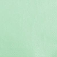 PEARL EFFECT MINT 40x40, Home Fashion