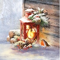 ROBIN BY LANTERN, Ambiente