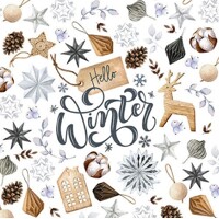  NATURAL WINTER, Ambiente