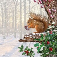  SQUIRREL IN TREE, Ambiente