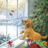  DOG WATCHING BIRDS, Ambiente