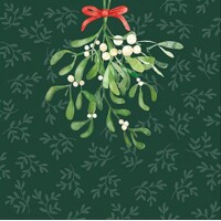  HANGING MISTLETOE green, Ambiente