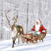 SANTA IN SNOWY FOREST, Ambiente
