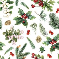  25x25 WINTER GREENERY white, Ambiente