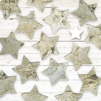 BIRCH STARS, Ambiente