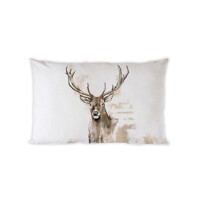  50x30 ANTLERS, Ambiente