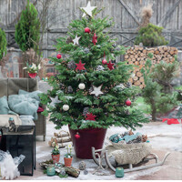 DECORATED FIR 33x33, Ambiente
