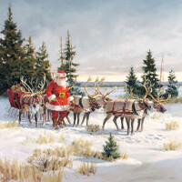 SANTA WITH HIS REINDEERS, Ambiente