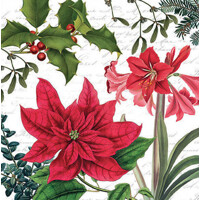CHRISTMAS PLANTS white, Ambiente