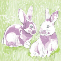 LILLY & LENNI 40x40 Linclass, Mank