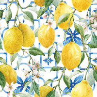 MEDITERRANEAN LEMONS 25x25, Ambiente