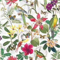 TROPICAL JUNGLE, Ambiente