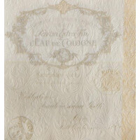 FIORENTINA LETTRE cream, N