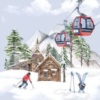 SKI HUT 33x33, Ambiente