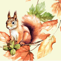 SKIPPY 40x40, Mank