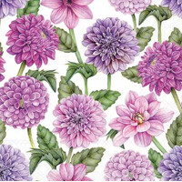 DAHLIAS IN BLOOM  33x33, Ambiente