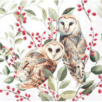 BARN OWL COUPLE 33x33, Ambiente