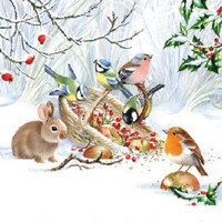 WINTER TREAT 25x25, Ambiente