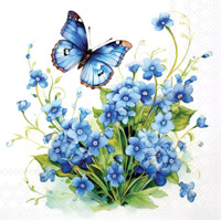 FORGET ME NOT, Ambiente