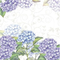 HORTENSIA 33x33, Ambiente