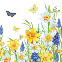 NARCIS AND MUSICARI 33x33, Ambiente