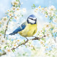 BLOSSOM TIME 33x33, Ambiente