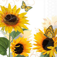 SUNNY BUTTERFLY 33x33, Ambiente
