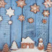 GINGERBREAD HOUSES, P+D