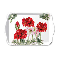 BLOOMING AMARYLLIS white 13x21, Ambiente